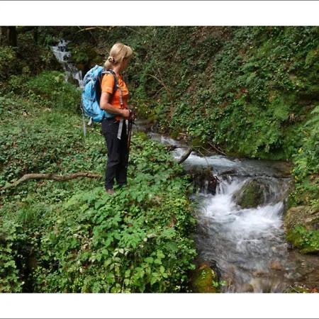 Bed & Breakfast Vatikurca