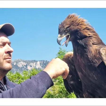 Vatikurca San Nicola Arcella