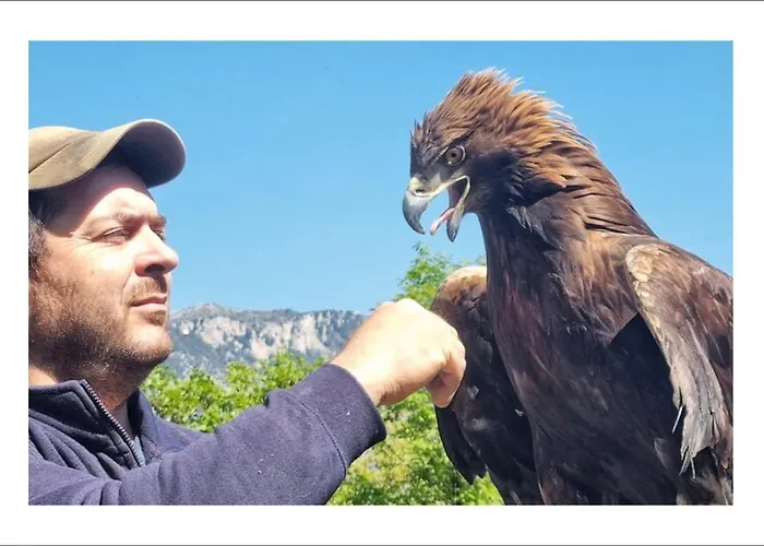 Vatikurca San Nicola Arcella